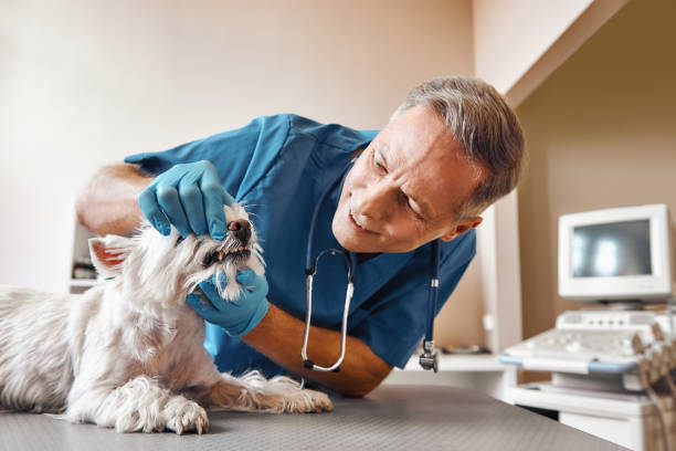 Best Pediatric Emergency Dentist in Fernandina Beach, FL
